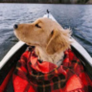 Meet your Posher, Ava